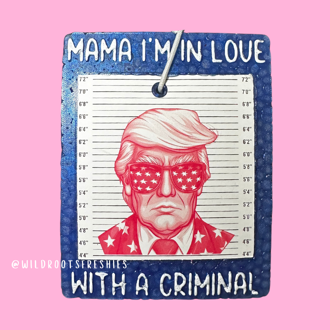 Trump Criminal Freshie